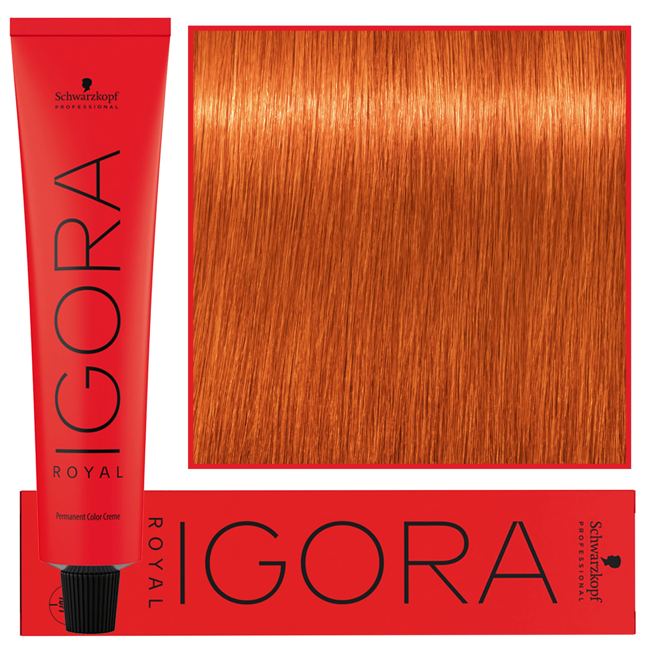 IGORA Royal farba do włosów odcień 0-11 Anti Yellow Concentrate
