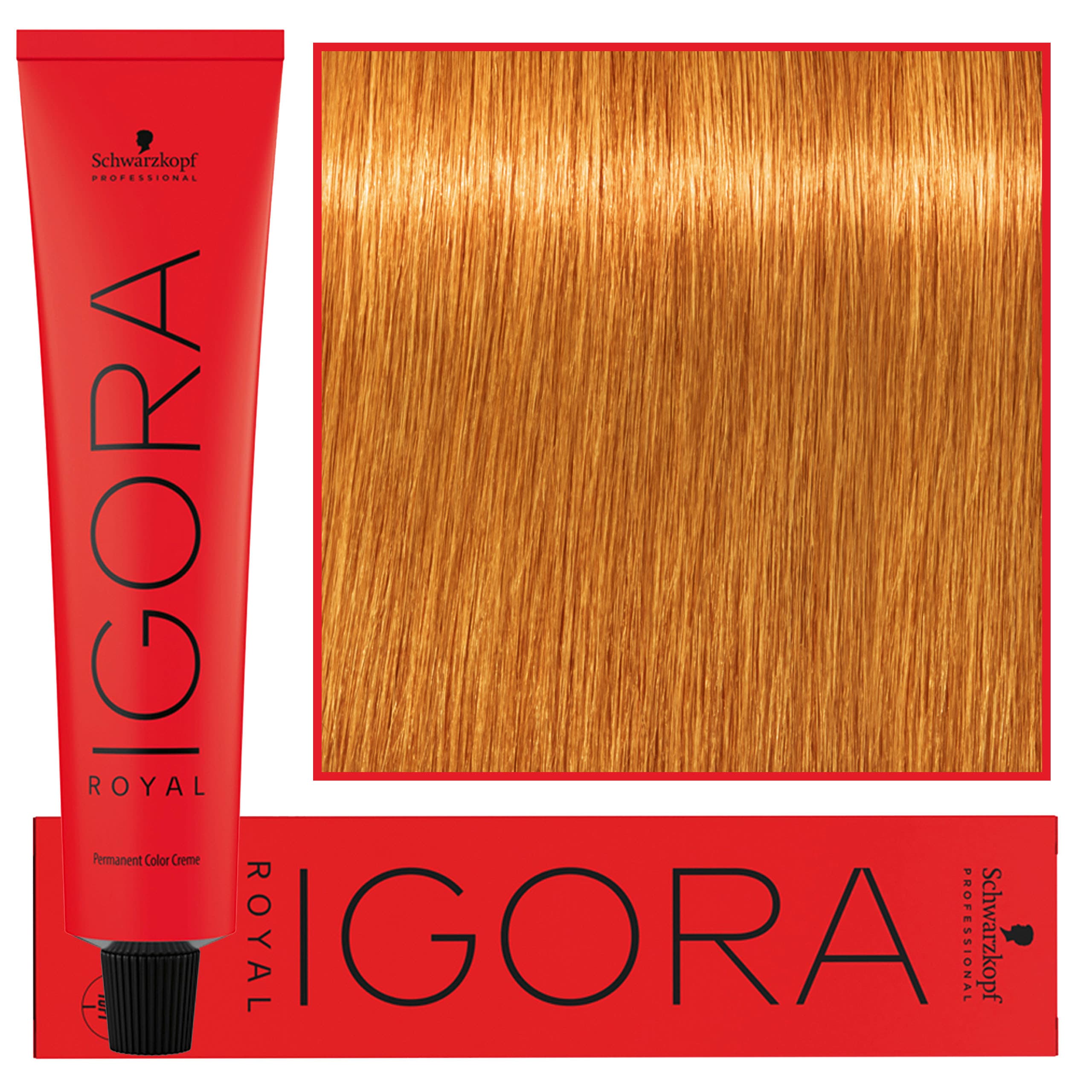 IGORA Royal farba do włosów odcień 9-7 Extra Light Blonde Copper