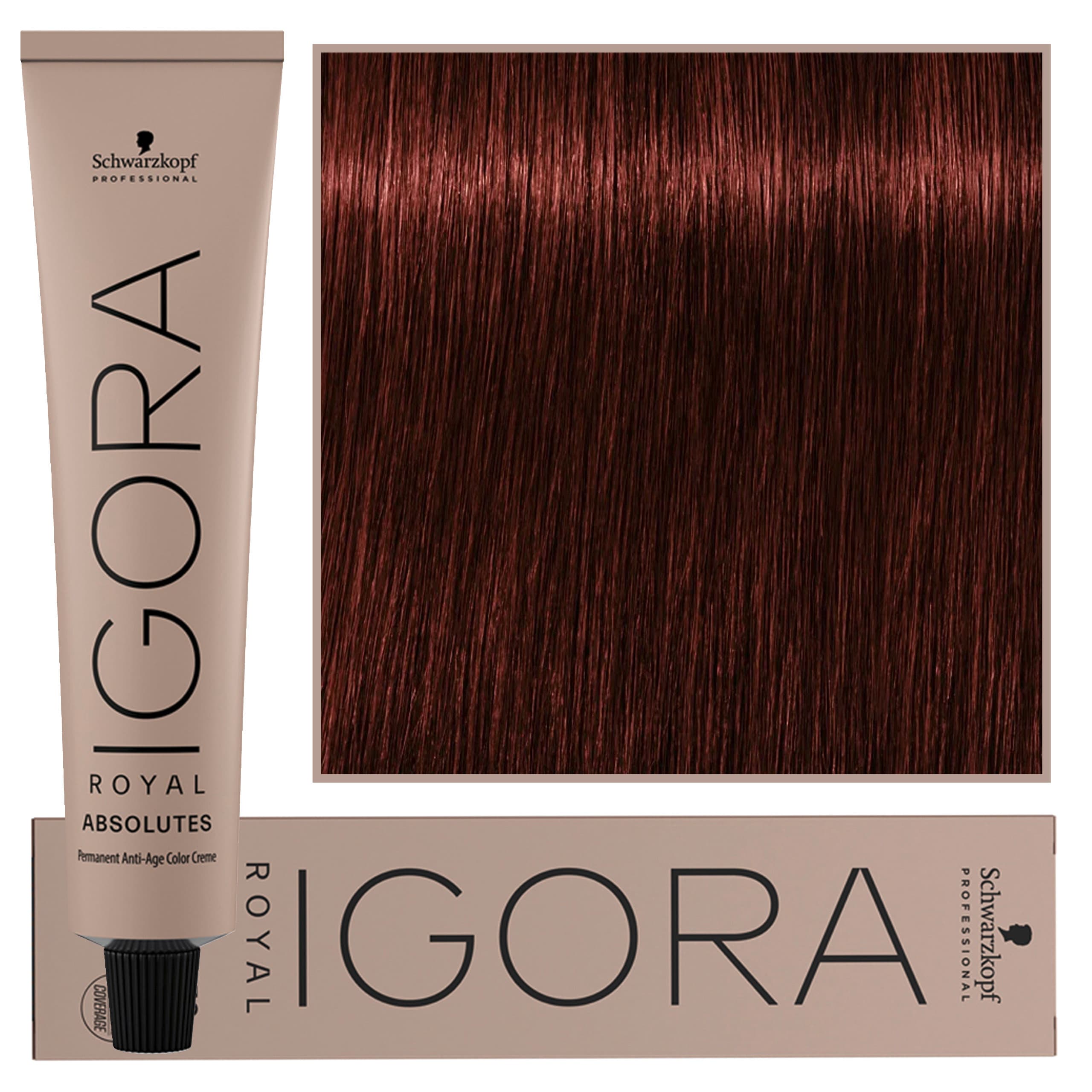 Igora Royal Absolutes - trwała farba do włosów z kolagenem, 5-80 | Jasny Brąz Naturalny Czerwony