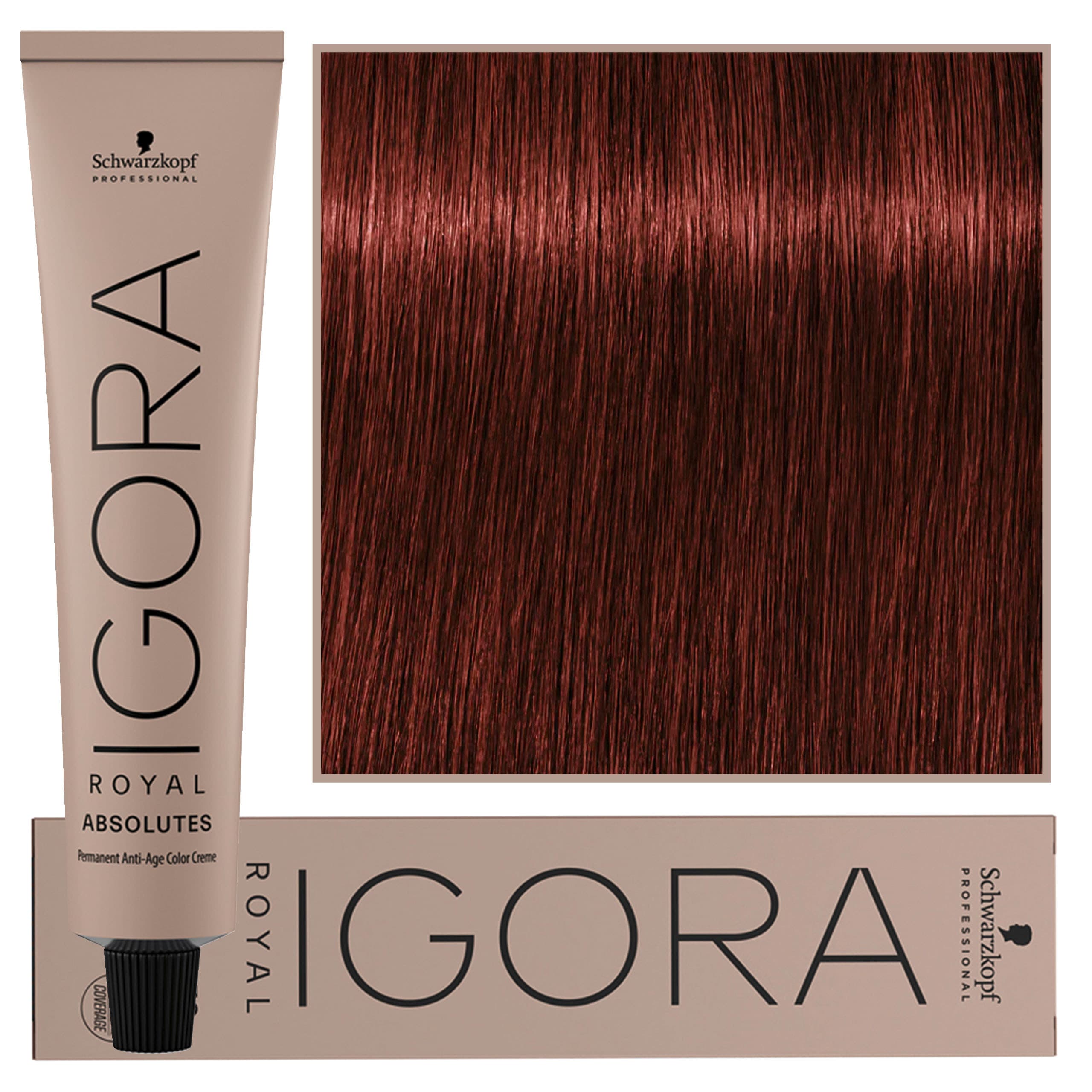 IGORA Royal Absolutes farba do włosów odcień 6-80 Dark Blonde Red Natural