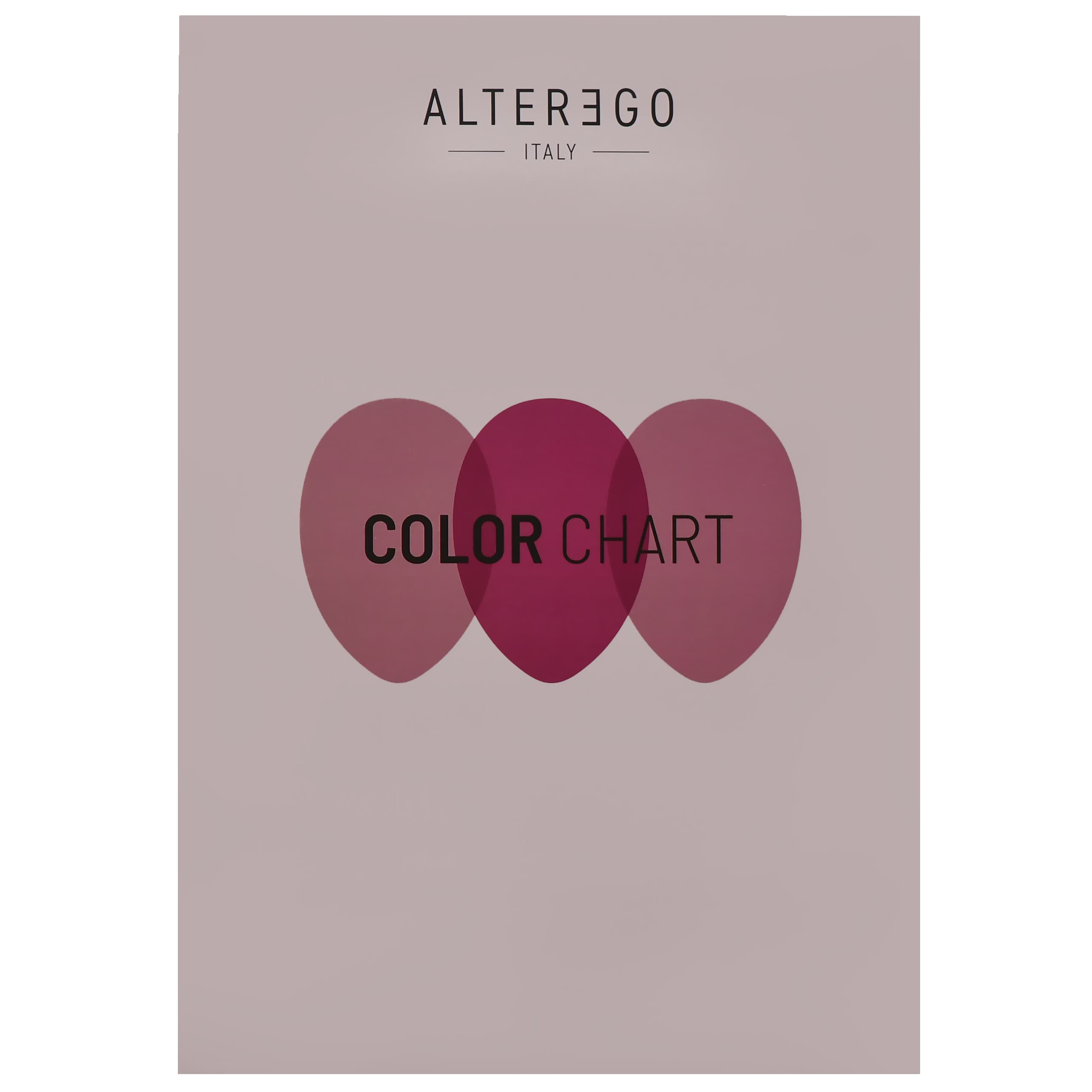 Italy Paleta Kolorów Color Chart – profesjonalny wzornik farb i tonerów