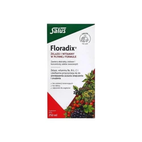 Floradix Żelazo dla dzieci tonik