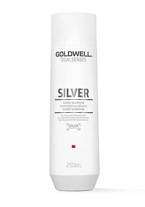 Szampon do włosów blond i siwych Goldwell Dualsenses Silver -