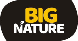 Logo marki Big Nature