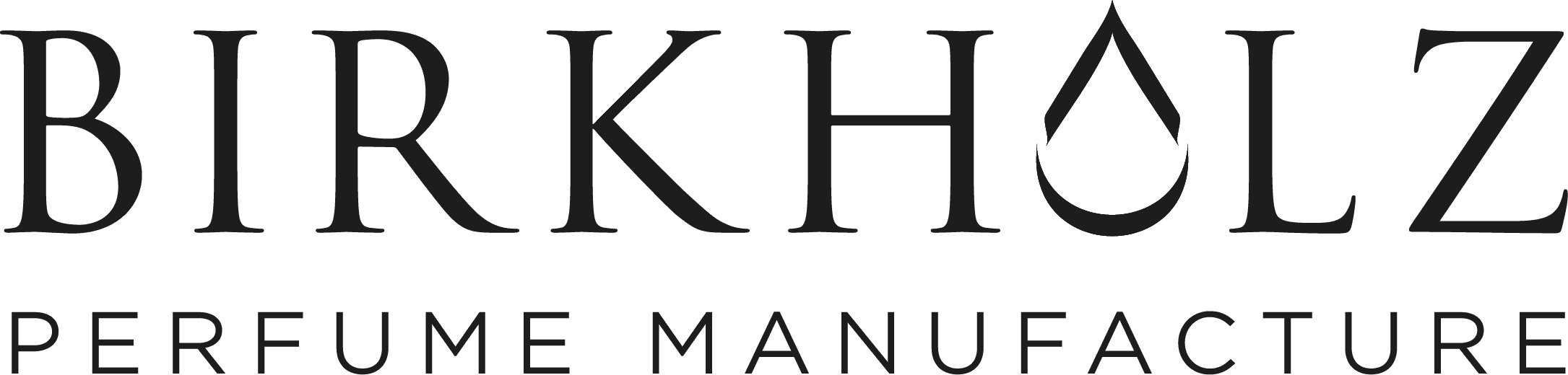 Logo marki BIRKHOLZ
