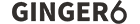 Logo marki Ginger6