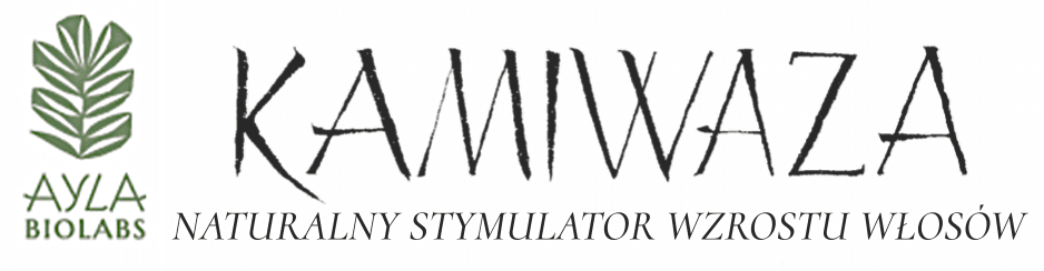 Kamiwaza logo