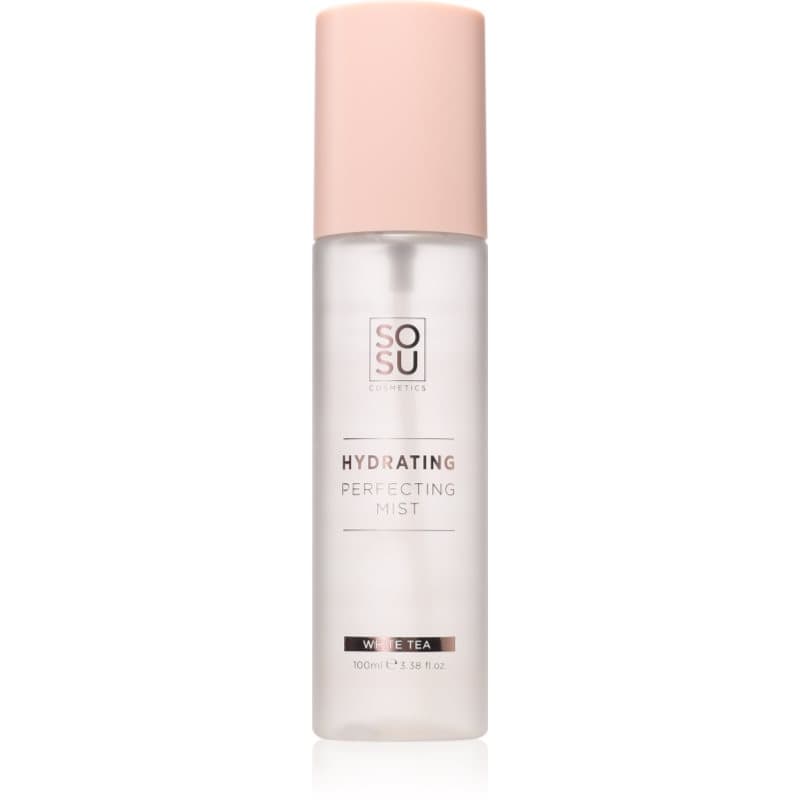 Hydrating Perfecting Mist mgiełka nawilżająca do twarzy odcień White Tea