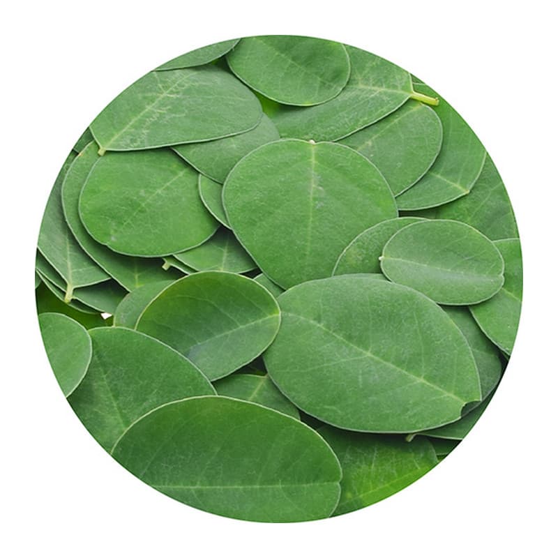 Thalasso Scrub Purificante (Węgiel drzewny i Herbata Matcha) peeling do ciala (XL)