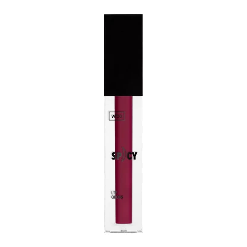 Spicy Lip Gloss błyszczyk do ust 22