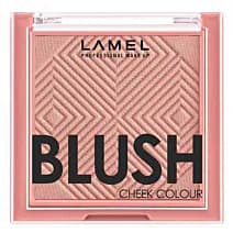 OhMy Blush Cheek Colour róż w kompakcie z matowym wykończeniem odcień 402