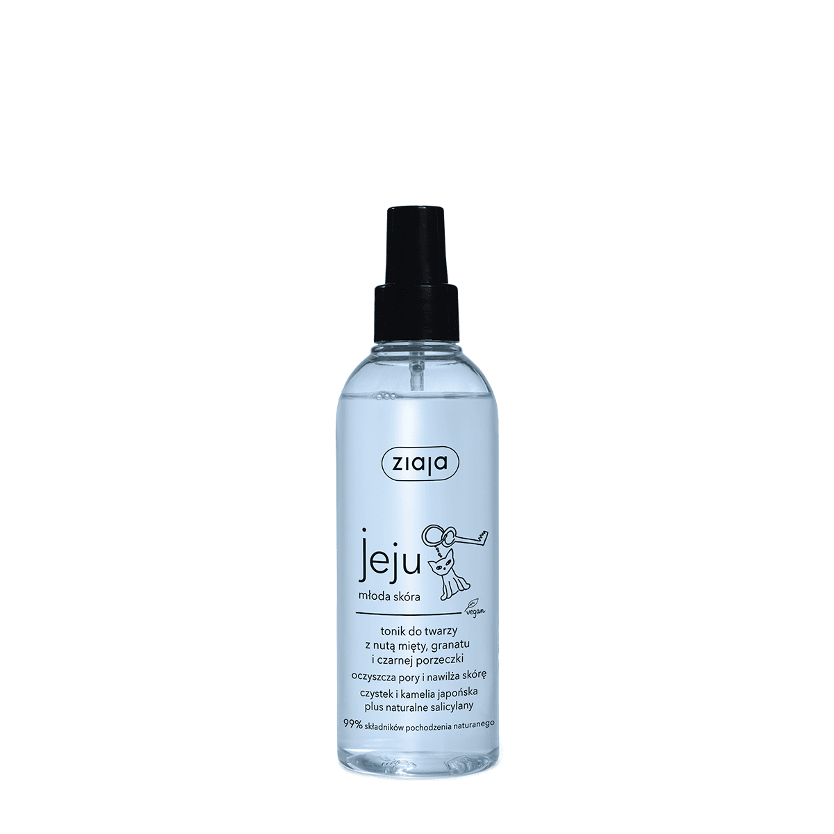 Jeju tonik do twarzy w sprayu z nutą mięty granatu i czarnej porzeczki