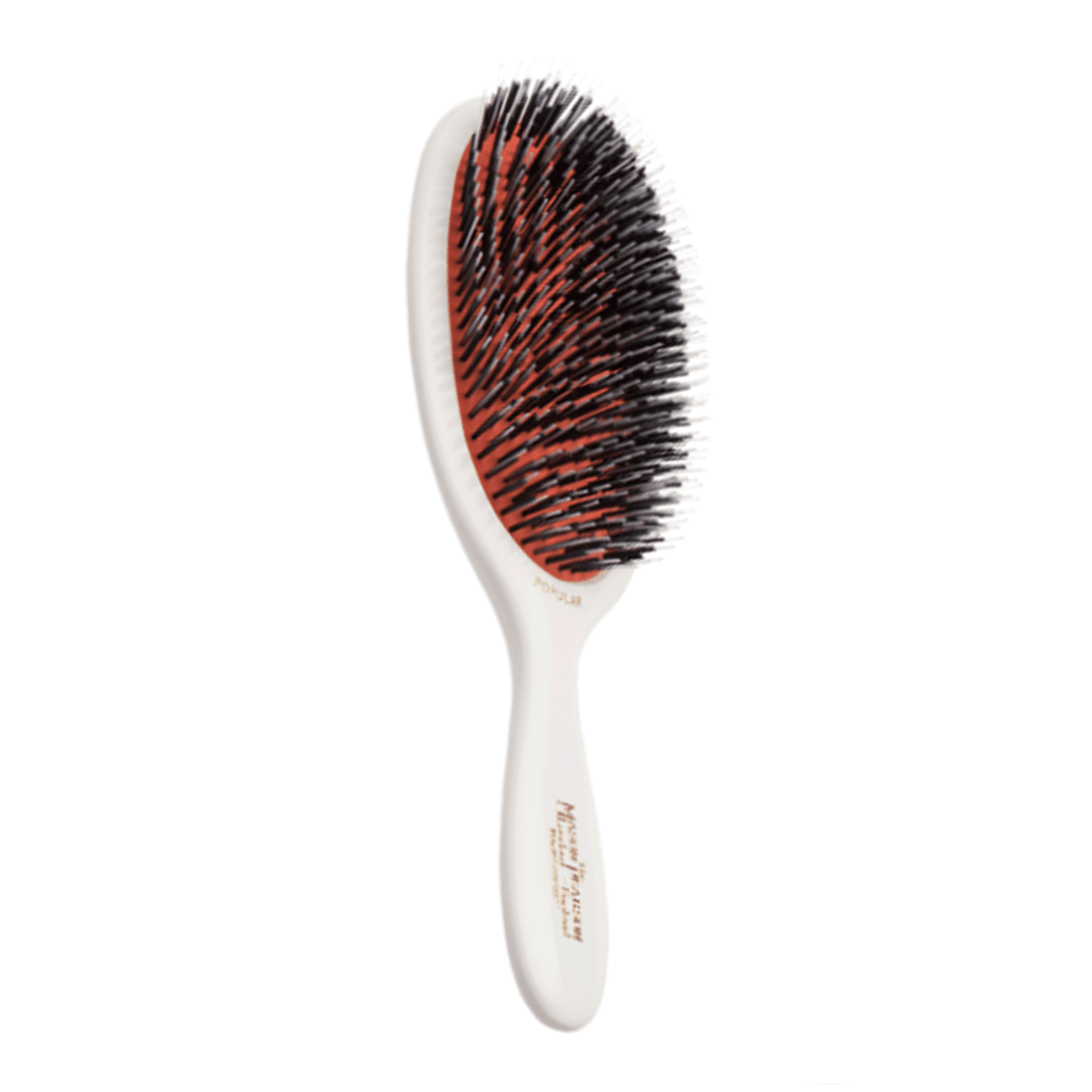 Popular Bristle & Nylon (BN1) Ivory | Szczotka do włosów w kolorze kości słoniowej